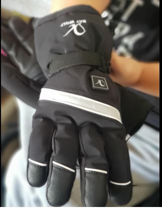 Day wolf gloves review