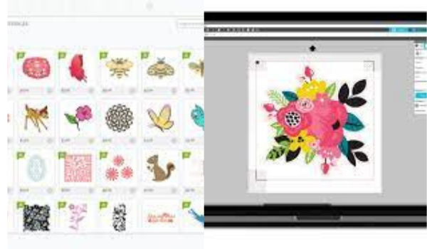 Difference between Portrait 3 software and cricut joy software
